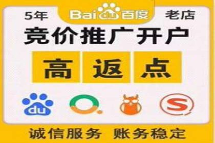 SEM竞价推广案例：打造行业领先的广告投放策略
